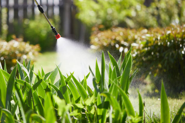 24/7 Emergency Ant Control experts in Griggsville, IL